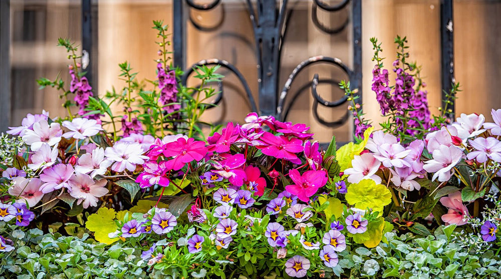 Springing into the Lowcountry: The Ultimate April 2026 Event Guide