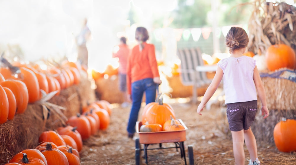 Charleston Fall 2026: The Ultimate Guide to Festivals, Events & Things to Do in the Lowcountry