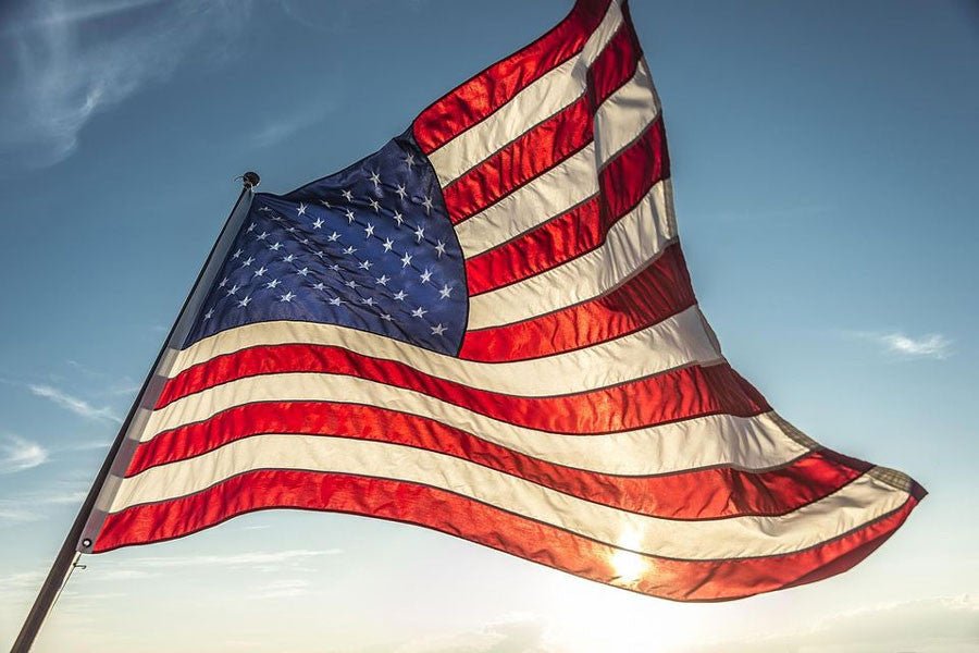 Kids says Pledge of Allegiance while no one is Watching